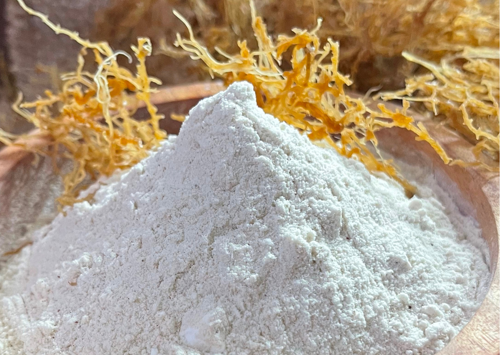 Home - Sinergy Ingredients